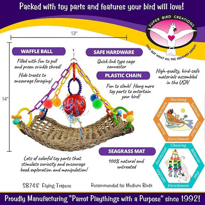 Super Bird Creations SB748 Flying Trapeze Bird Toy for Conures, Quakers, Cockatiels, Parrots, Senegals, Multi-Colored Chain, Seagrass Mat, Enrichment Toy - Medium Bird Size, 14" x 13" x 12"