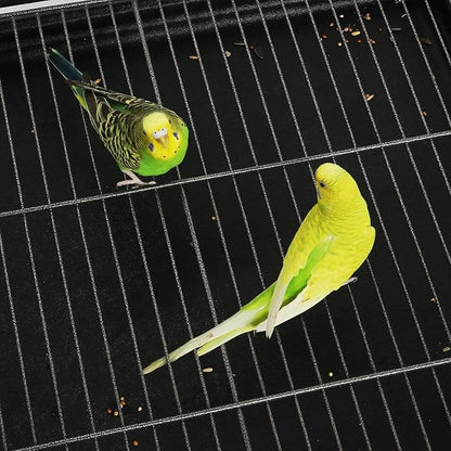 Topeakmart X-Large Parrot Cage Bird Cage with Rolling Stand for Medium Birds Cockatiels Quaker Green Cheek Sun Conure African Grey, 60.5inch