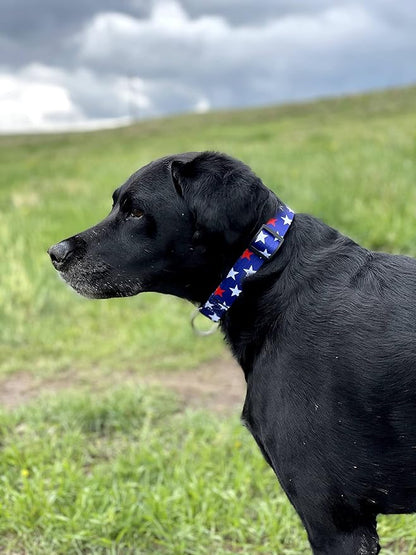 Native Pup American Flag Dog Collar- Red White and Blue- Patriotic Collars for 4th of July, USA- Adjustable Small, Medium, Large Breed Dogs (Medium, Red & White Stars)