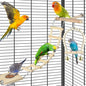 5in1 Bird Perch Ladder with Swing, Natural Wood Parrot Perches Platform with Stainless Steel Feeding Cup, Play Gyms Stands Playground for Budgie Conure Lovebird Canary Hamsters