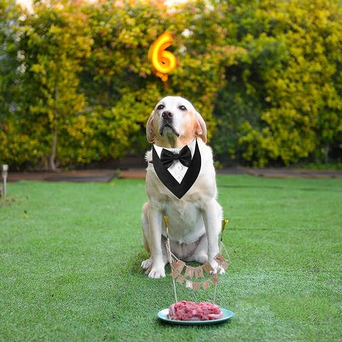 ADOGGYGO Formal Dog Tuxedo, Wedding Dog Bandana Collar with Bowtie, Adjustable Pet Birthday Wedding Tux Outfit for Medium Large Dogs (L, Black)