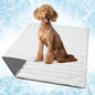 PetAmi Cooling Mat for Dog, Premium Pet Cooling Blanket for Crate Kennel, Indoor Cat Cool Sleeping Pad, Q-MAX Cold Sofa Couch Cover for Summer, Gray/Light Grey, Large (40x60)