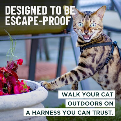 Houdini™ Escape Proof Kitten Harness and Leash Set by OutdoorBengal – Extra Small – Comfy, Adjustable and Lightweight - Houdini Cat Harness Escape Proof for Small Cats + Cat Leash 6ft (Pink, XS)
