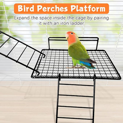 BNOSDM Large Stainless Steel Grid Platform for Parakeet 4 PCS Bird Perches Platform Parrot Stand with Climbing Ladder Bird Cage Accessories for Small to Large Bird (Screw Style-L)
