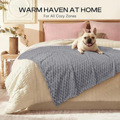 Luciphia Soft 300GSM Fleece Pet Blanket for Small Medium Large Dogs Washable 3D Textured Flannel Cat Puppy Decorative Furniture Protector Throw Durable Grey, L(41''x31'')
