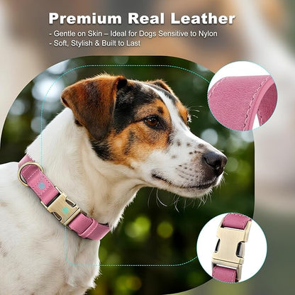Plutus Pet Genuine Leather Dog Collar – Adjustable Pet Collar with Quick Release Metal Buckle, Soft Real Leather for Small Medium Large Dogs, Heavy Duty & Skin-Friendly (Pink, S)