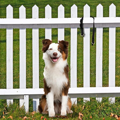 PetSafe KeepSafe Collar for Dogs - Protects Against Collar Accidents - Long Lasting - Durable - Adjustable - Breakaway - Outdoor-Safe - Medium - 1 In. Wide - Red