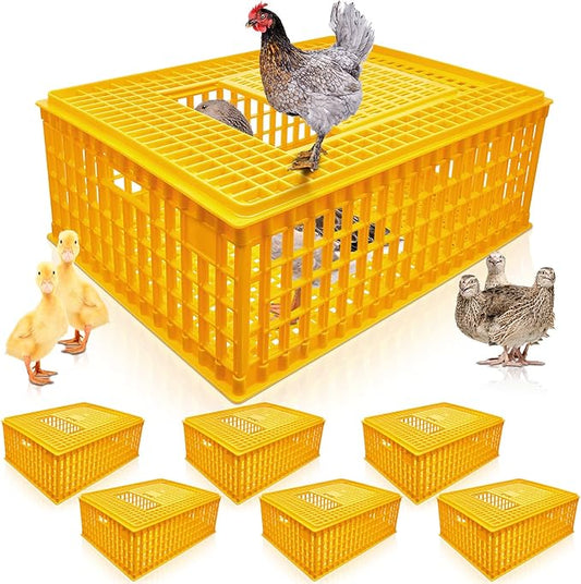 Sintuff Poultry Carrier Crate Plastic Chicken Transport Cage Bird Carriers Chickens Carrier Travel Crate Basket Box for Poultry Chicken Bird Duck Goose, 29.5 x 21.7 x 11.6 Inch(6 Pcs)