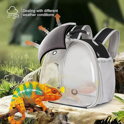 Guinea Pig Backpack Carrier, Bearded Dragon Carrier Backpack with Clear Bubble Window,Small Animal Travel Backpack for Hedgehog Rat Parrot,Rabbit,Sugar Glider,Airline Approved(Black, Backpack)