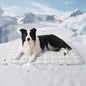 Bedsure Cooling Mat for Large Dogs – 41x28 Thin Washable Cooling Pet Pad for Puppy, QMAX>0.5, XL Portable Kennel Puppy Bed for Summer, Non-Slip Summer Crate Pad for Big Dog Up to 80 lbs