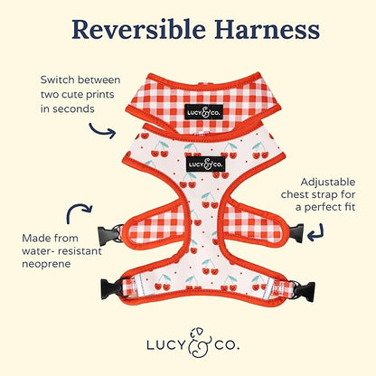 Lucy & Co. Cheery Cherries, Cute Reversible Dog Harness Walking Halter - Best Designer Pet Harnesses for XS - XL Dogs - Padded Adjustable Vest for Easy Walking (X-Small)