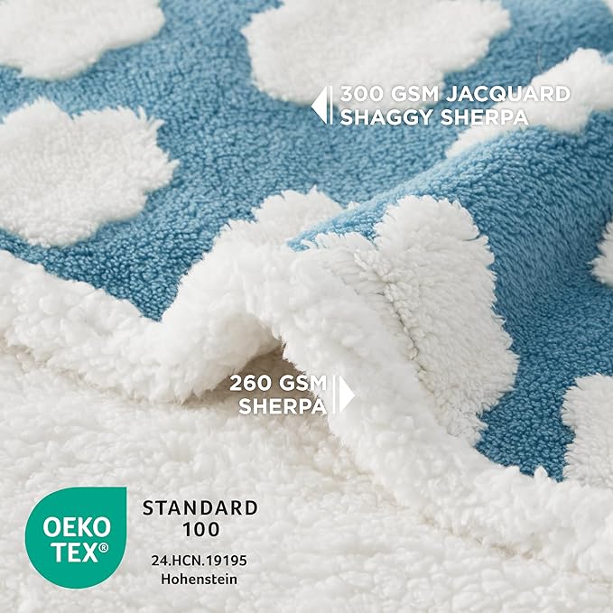 LE SURE Waterproof Dog Blanket for Medium Dogs - Washable Double Sided Dog Blankets with Warm Jacquard Shag and Soft Sherpa Fleece, Pet Cat Blanket for Couch Protection, 3D Textured Cloud, Blue