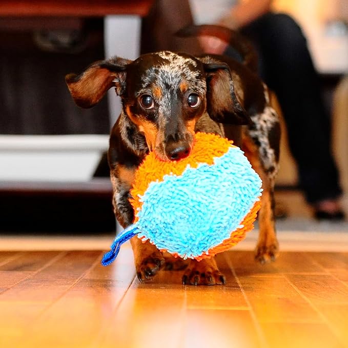 Chuckit! Indoor Fetch Shaker for Dogs - Interactive Dog Toys for Boredom, 7.75 Inch, Orange and Blue