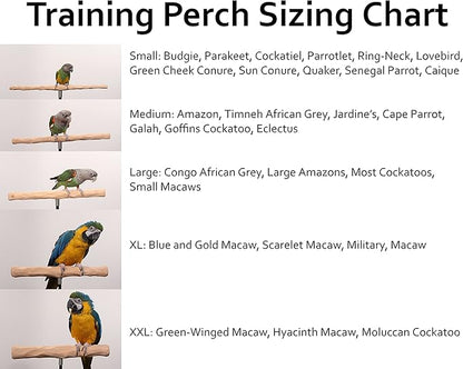 Parrot Training Perch Stand with Potty Tray (T Perch Hardwood, Large)