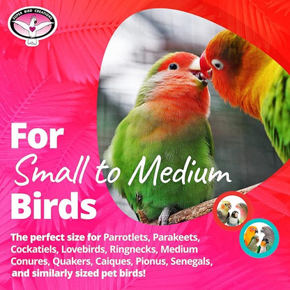 Super Bird Creations SB719 Beaker Sneaker Bird Toy for Parrotlets, Parakeets, Cockatiels, Lovebirds, ringnecks, Medium Conures - Mini Colorful Canvas Sneaker - Small/Medium Bird Size, 6" x 2"