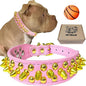 TEEMERRYCA Pink Leather Gold Spiked Studded Dog Collar for Female Puppy Small Medium Large Pets,Pit Bulls Bulldog, Keep Dog Safe from Grabbing by Huge Dogs, S 10.8"-13.2"