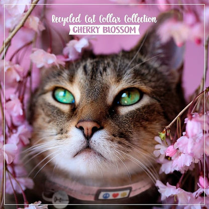 Pawtitas Recycled Pink Reflective Cat Collar – Eco-Friendly Breakaway Safety Buckle, Adjustable Kitten & Adult Collar with Removable Bell and High-Visibility Strap