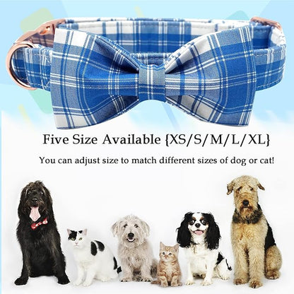 Lionheart glory Dog Collar, Boy Dog Collar Bowtie Blue Adjustable Dog Bowtie Collar Bows Dog Collar for Large Dogs