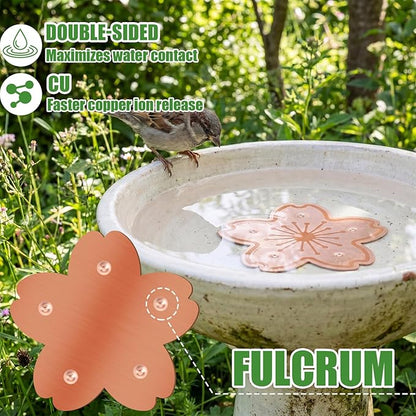 4 Pack Bird Bath Copper Disk Bird Bath Purification Disk with Triple-Point Support 99.99% Pure Copper Water Cleaner for Outside Bowl, Physical Safe Clean Water (Flowers)