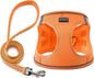 Dog Harness with Leash Set, No Pull Adjustable Reflective Step-in Puppy Pet Vest Harnesses for Small Medium Large Dogs and Cats,Orange XL