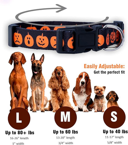 Native Pup Halloween Dog Collar- Spooky Fall Themed Horror Costume Collars- Skull, Pumpkin, Ghost, Bat, Witch, Candy Corn, Spider- Adjustable for Small, Medium, Large Breeds (Small, Big Pumpkins)