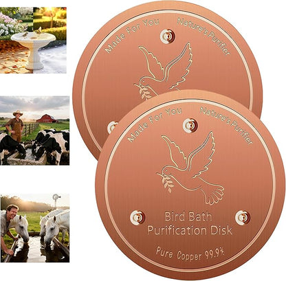 2 pack Copper Disk, 99.9% Pure Copper disk for bird bath, horses, Cattle Water Trough,Waterfall Fountain, Universal Fit for birds bowls and water troughs for livestock, Purify Water Year Round