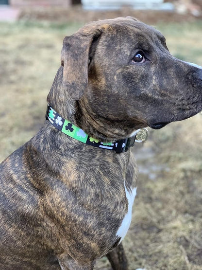 Native Pup St Patricks Dog Collar- Saint Patrick Green Shamrock Pet Collars- St. Patrick’s Lucky Irish- Cute Boy Girl Puppy Gift- Adjustable for Small, Medium, Large Breeds (Patterned Shamrock, Small)