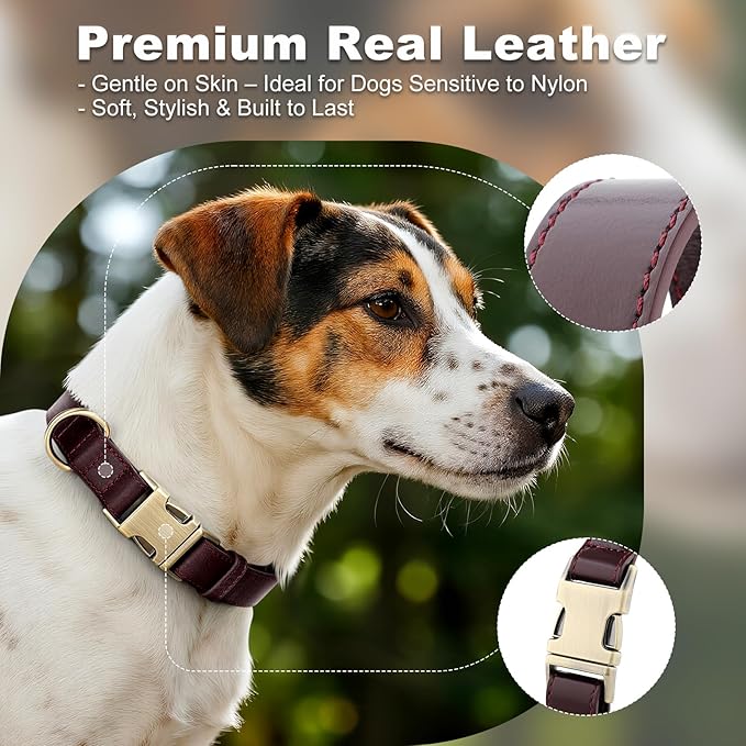 Plutus Pet Genuine Leather Dog Collar – Adjustable Pet Collar with Quick Release Metal Buckle, Soft Real Leather for Small Medium Large Dogs, Heavy Duty & Skin-Friendly (Copper Brown, L)