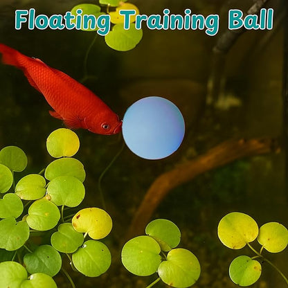 Betta Mirror Enrichment Fish Toys Stimulation, 2 pcs Exercise Feeding Rings And Training Mirror With Floating Ball Toy, Betta Fish Tank Accessories, Small Aquarium Tank Decoration (Orange, M)
