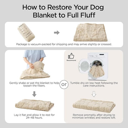 Bedsure Dog Blanket for Small Dogs Washable - Fluffy Fuzzy Puppy Cat Blanket with Premium 300GSM Coral Fleece Soft for Pet Kitten Doggy, Green, 25x35IN