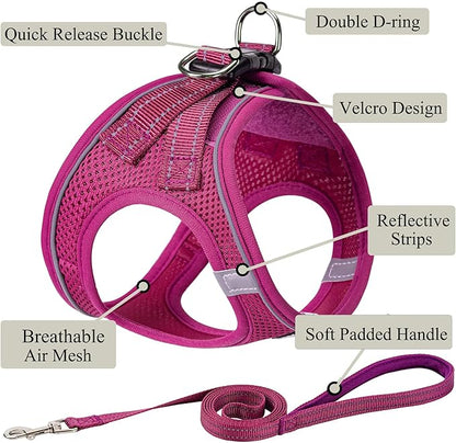 Dog Harness with Leash Set, No Pull Adjustable Reflective Step-in Puppy Pet Vest Harnesses for Small Medium Large Dogs and Cats,Rose Red XL