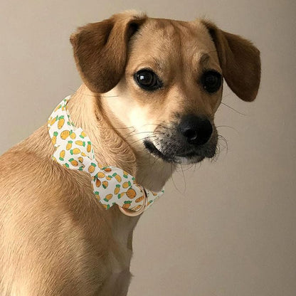 Easter Dog Collar with Bowtie, Cute Carrot Easter Dog Collar with Metal Buckle,Adjustable Soft Pet Collar for Small Medium Large Dogs