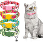 azuza 4 Pack Cat Kitten Collar Breakaway with Bell Quick Release Safe Buckle Adjustable Cat Kitten Collar