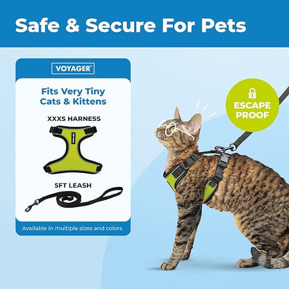 Voyager Escape-Proof Step-in Lock Cat Harness & 5ft Neoprene-Handle Leash Set All-Weather Mesh with Reflective Stitching for Small to Large Cats by Best Pet Supplies, Black Trim-Lime (327), XXXS