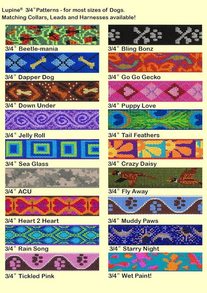 LupinePet Originals 3/4" Rain Song 15-25" Adjustable Collar for Large Dogs