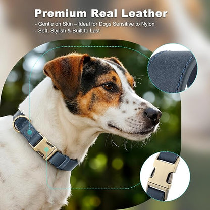 Plutus Pet Genuine Leather Dog Collar – Adjustable Pet Collar with Quick Release Metal Buckle, Soft Real Leather for Small Medium Large Dogs, Heavy Duty & Skin-Friendly (Blue, L)