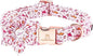Lionheart Glory Shark Print Pink Collar - Adjustable Soft Dog Collar for Small Dogs