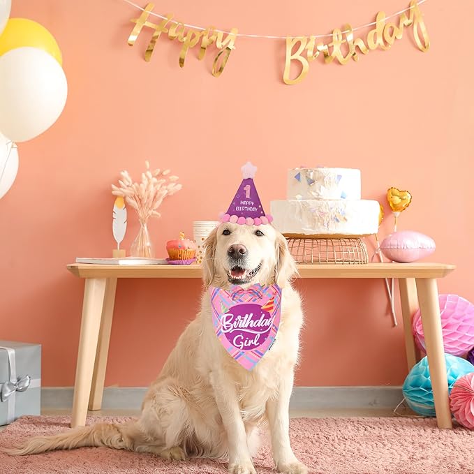 ADOGGYGO Dog Birthday Party Supplies, Pink Birthday Girl Pet Bandana Hat Bowtie Set for Large and Extra Large Dogs (X-Large)