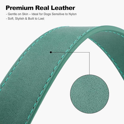 Plutus Pet Genuine Leather Dog Collar – Adjustable Pet Collar with Quick Release Metal Buckle, Soft Real Leather for Small Medium Large Dogs, Heavy Duty & Skin-Friendly (Green, XS)