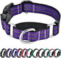 Hikiko Martingale Collar for Dogs Reflective Nylon Dog Collar with Quick Release Buckle Adjustable Training No Slip Dog Collar (X-Small, Purple)