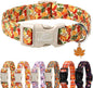 Fall Dog Collar Cute Autumn Leaves Puppy Collar - Light Comfortable Adjustable Pet Collars for Small Medium Large Girl Boy Dogs XL