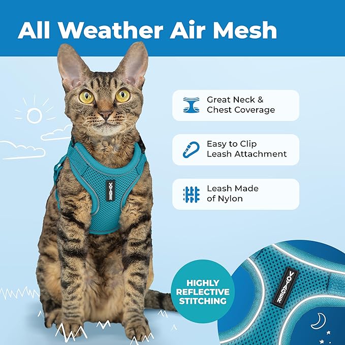 Voyager Escape-Proof Step-in Lock Cat Harness & 5ft Neoprene-Handle Leash Set All-Weather Mesh with Reflective Stitching for Small to Large Cats by Best Pet Supplies, Turquoise (327), XXS