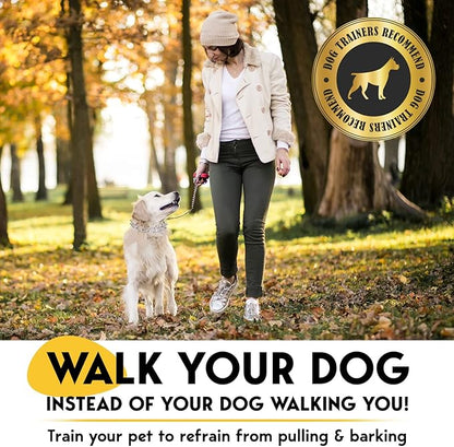 PetJett Prong Collar for Dogs - Choke Collar for Dogs, Pinch Collar for Dog, Adjustable Training Collar & Walking Tool for Small, Medium, or Large Breed - No Pull Stainless Steel Metal Choker Chain