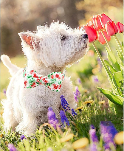 Lionheart glory Dog Collar Bow Collar Floral Dog Collar with Bow Tie Spring Summer Cute Collar Dog Boy or Girl Dog Collars Soft Durable Adjustable Dog Collars for Medium Dogs