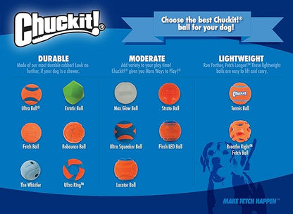 Chuckit! Rebounce Ball Dog Toy - Bouncy Fetch Balls for Dogs 20-60 lbs - Made from Durable Rubber - Outdoor Pet Toys - Size Medium - 2.5-inch Diameter - Pack of 2 - Blue