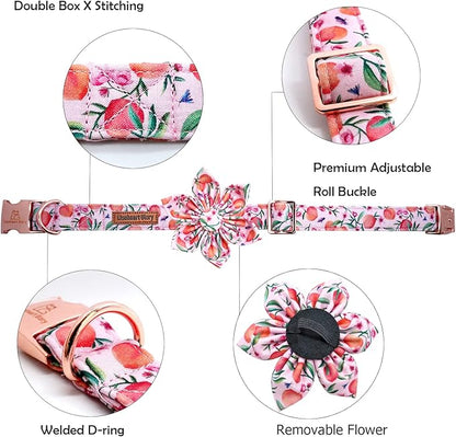 Lionheart Glory Pink Peach Dog Collar with Soft Durable Adjustable Bows