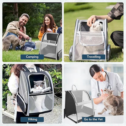 Cat Backpack Carrier, Pet Backpack Carrier Cats and Small Dogs, Collapsible Fully Ventilation Cat Backpack for Outdoors Hiking Camping Travel(up to 16.5lbs)