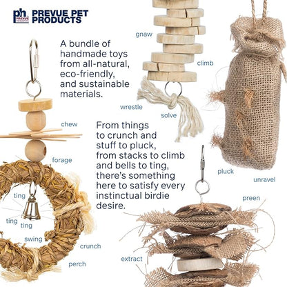 Prevue Pet Products Wholesome Naturals 4 Piece Bird Toy Bundle