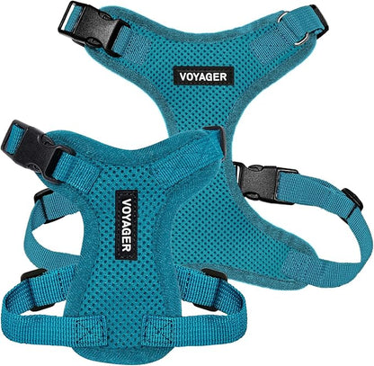 Voyager Step-in Pet Harness - All Weather Mesh, Adjustable Step in Harness for Cats and Dogs by Best Pet Supplies - Turquoise, XS
