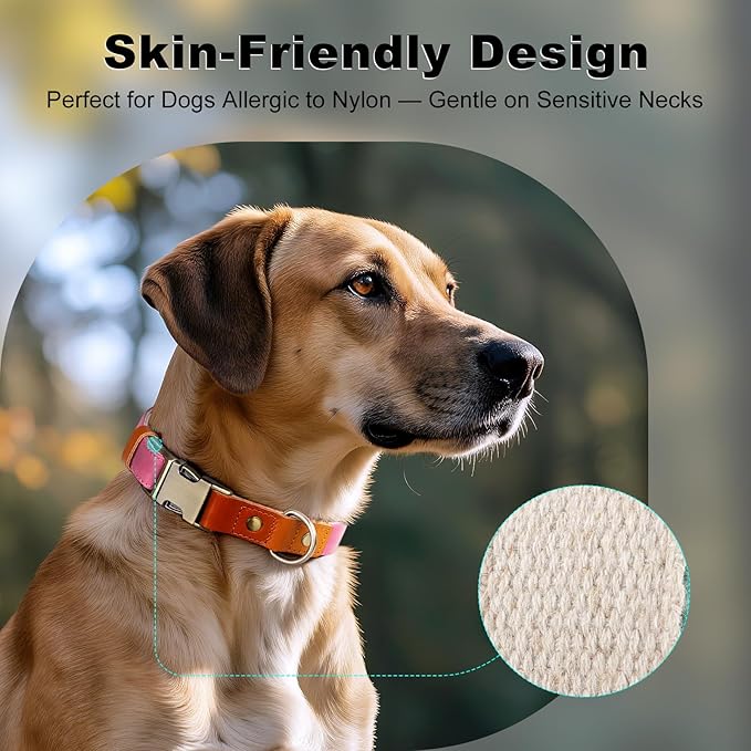 Plutus Pet Genuine Leather & Hemp Dog Collar – Adjustable Heavy Duty Pet Collar with Quick Release Metal Buckle, Soft & Stylish for Puppy and Small, Medium, Large Dogs (Pink, M)
